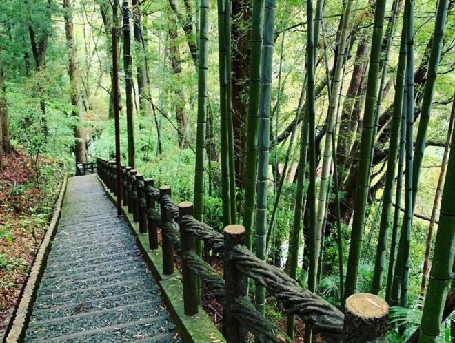 Iya Kankou Ryokan มิโยชิ ภายนอก รูปภาพ